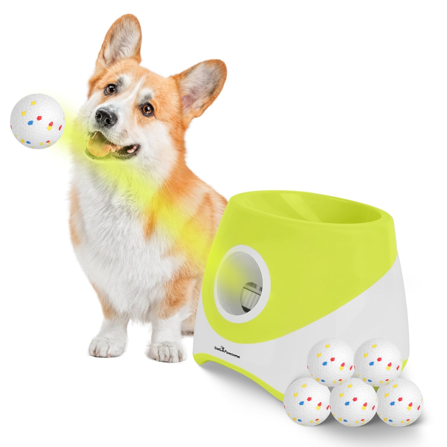 Dog Toys